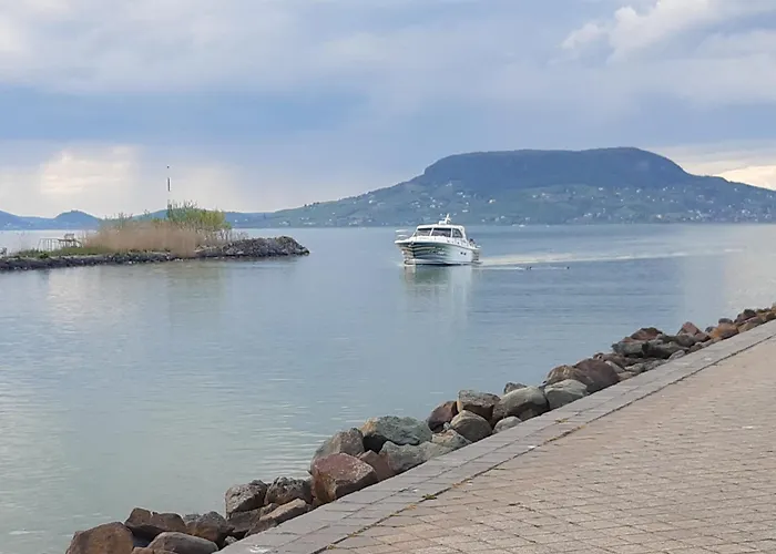 Livi Merevfalu Kerti Medencevel *